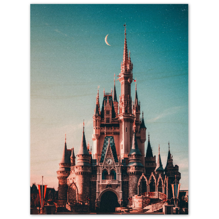 Darby Home Co Walt Disney Castle Wall Décor Wayfair